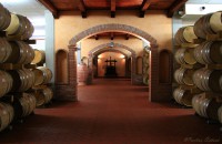 /album/foto-santadi-is-zuddas-costa-del-sud/a0016-santadi-jpg2/